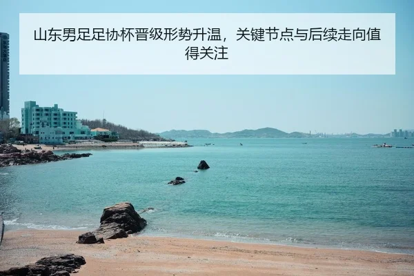 山东男足足协杯晋级形势升温，关键节点与后续走向值得关注（zfwx）